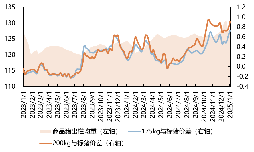 2023年至今商品猪出栏均重与各体重段价差