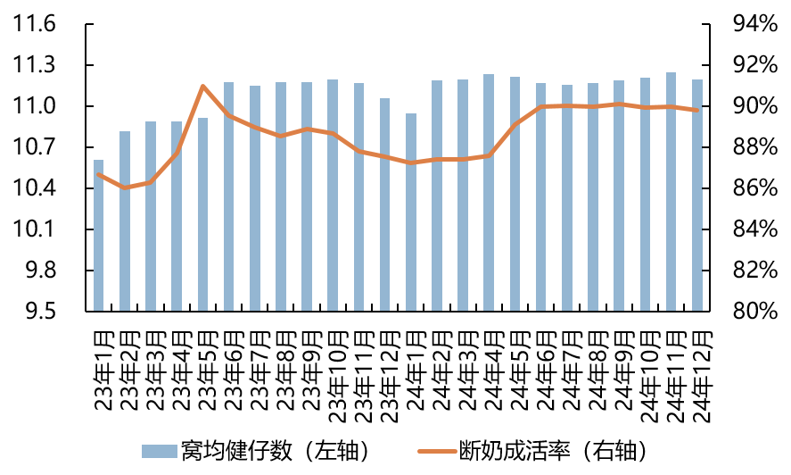 2023年至今样本点窝均健仔数（头）及断奶成活率