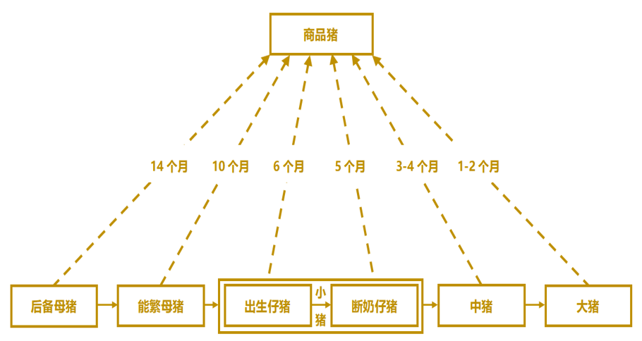 生猪产能兑现流程图