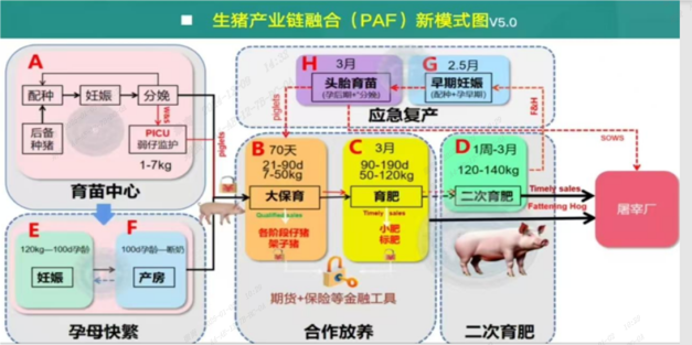 生猪产业链融合新模式