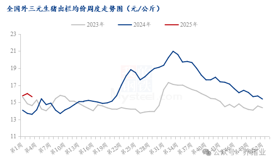 2024养猪实现盈利！2025年能否维持住？