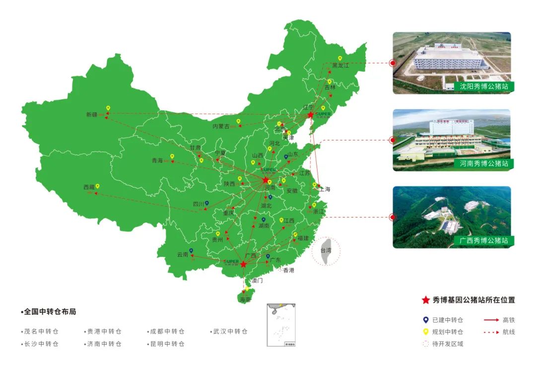 秀博猪精