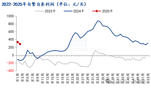 2024养猪实现盈利！2025年能否维持住？