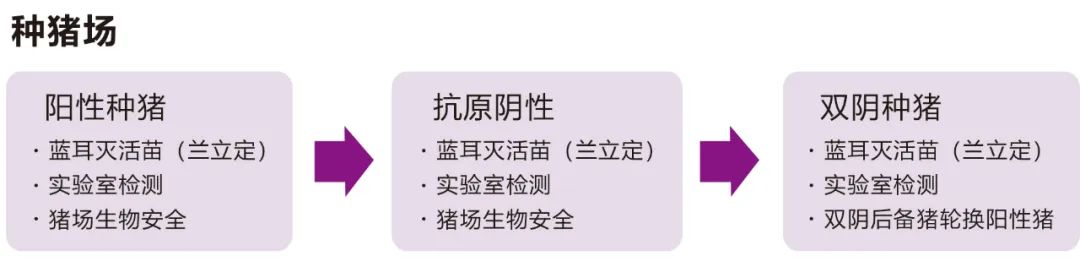 种猪场