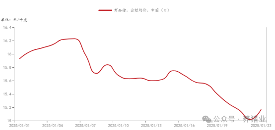 单日涨幅最高达1元/公斤！猪价涨势为何维持不住？