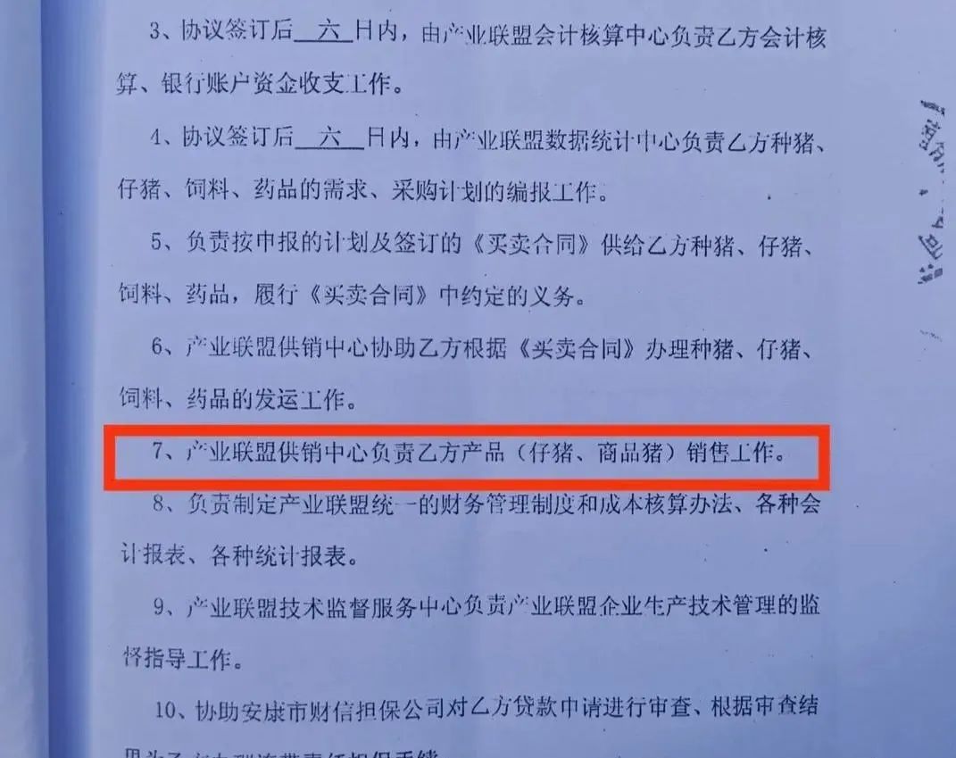 王明明与阳晨牧业签署的协议