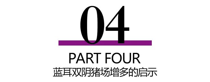蓝耳双阴猪场增多的启示