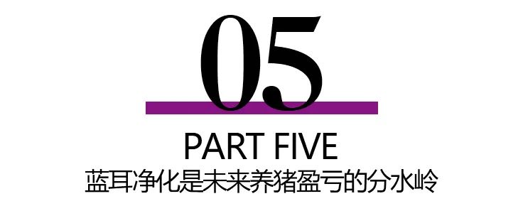 蓝耳净化