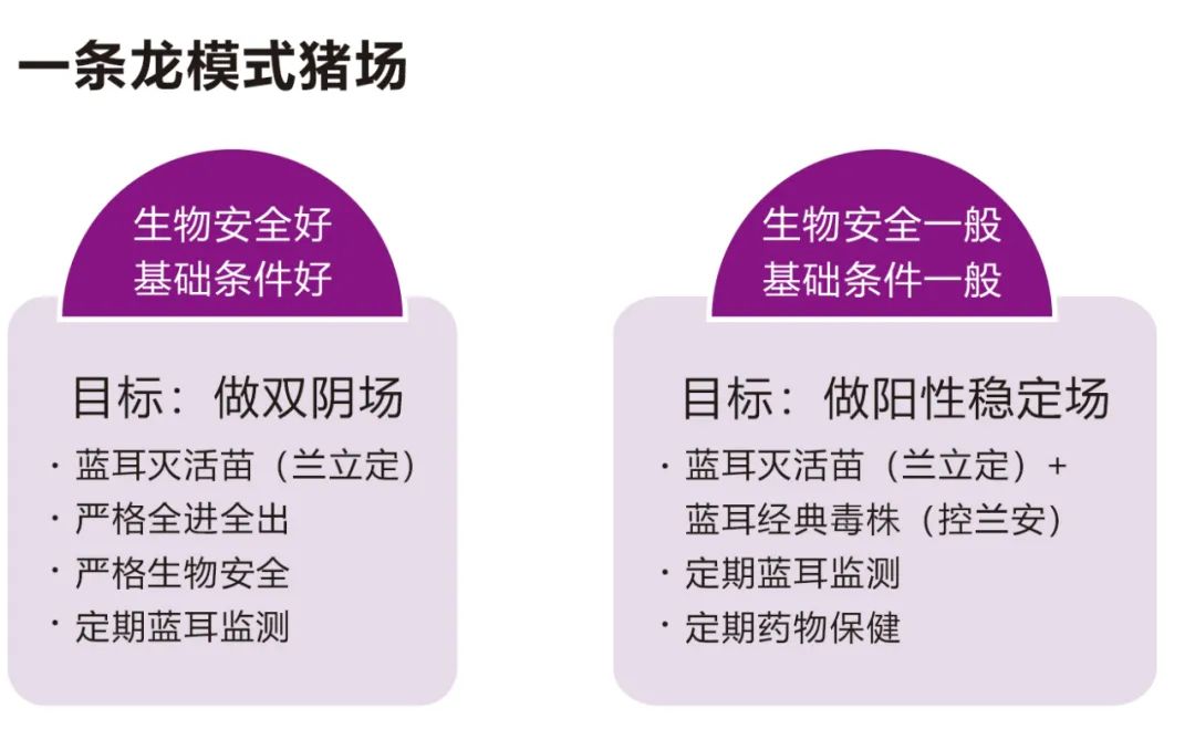 一条龙模式猪场