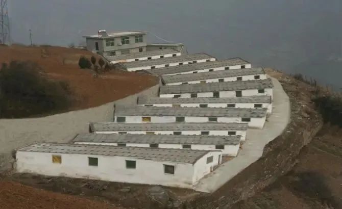 ▲赵国明曾经经营的养猪场