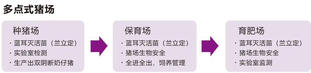 多点式猪场