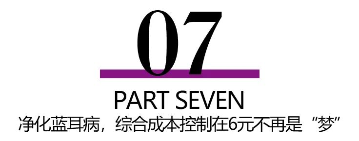 净化蓝耳病