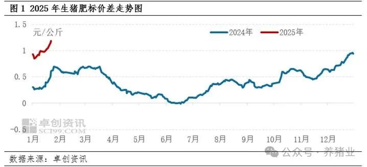 1月份生猪肥标价差走阔，2月走势将如何？