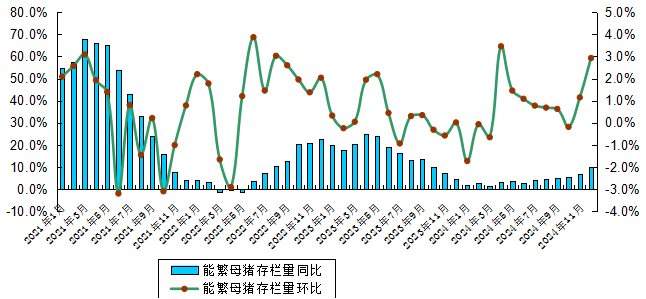 广东猪业