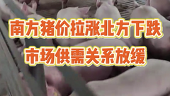 2月5日生猪价格：整体呈上涨！年后市场供需关系放缓，后市如何？