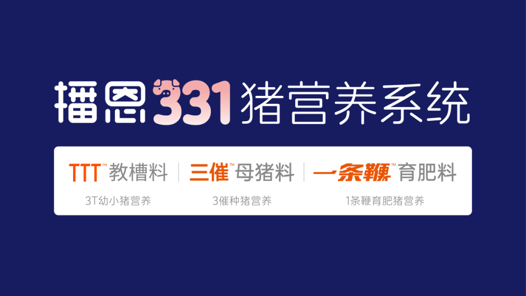播恩331猪营养系统