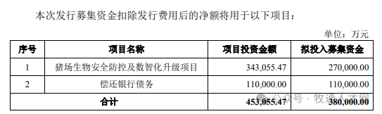 生猪养殖规模化率已超70%