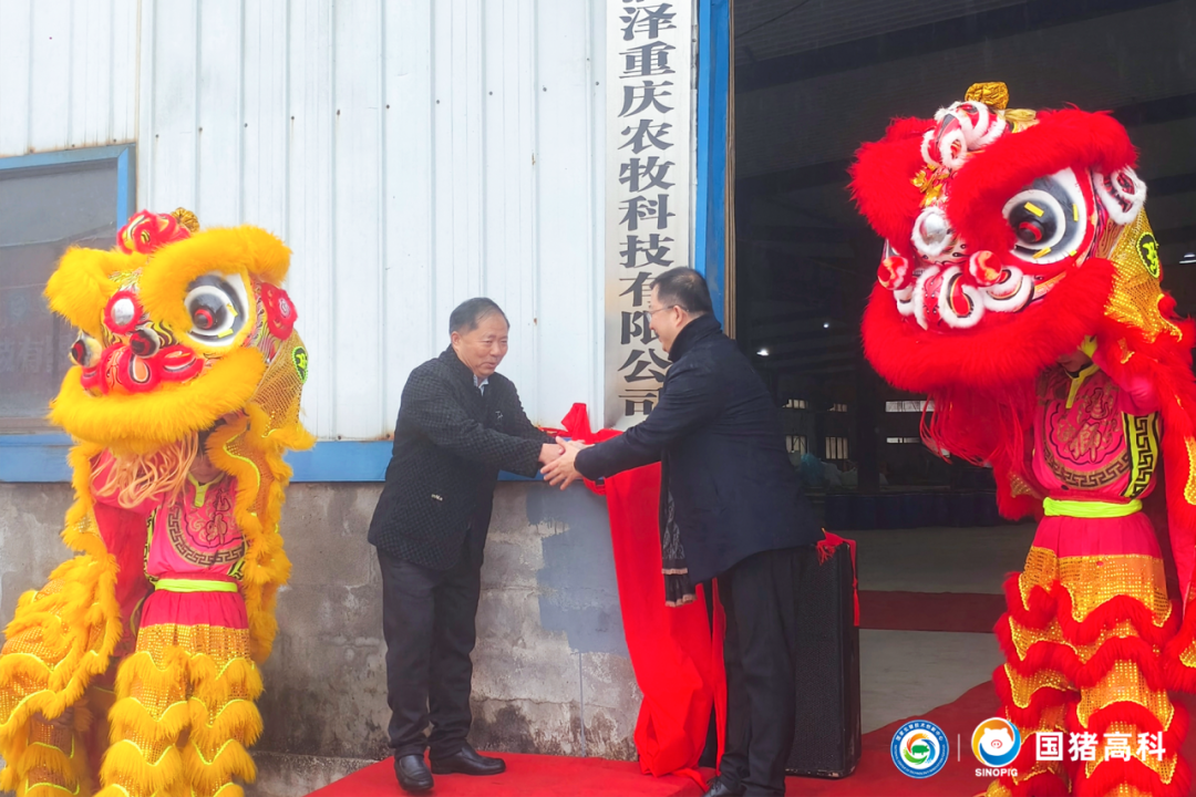 国猪润泽盛大开业