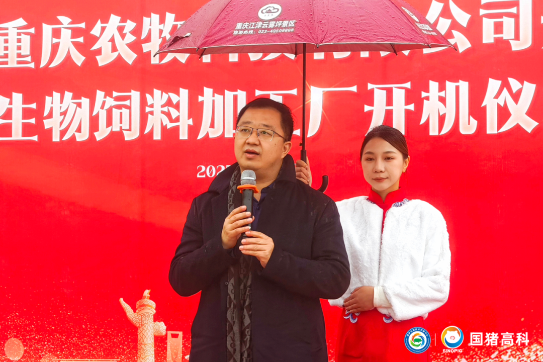 国猪润泽盛大开业