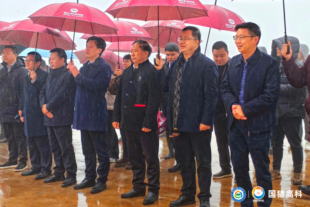 国猪润泽盛大开业