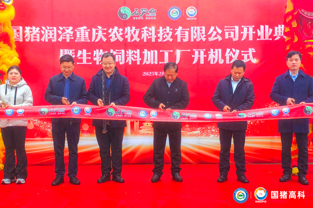 国猪润泽启航：科技赋能生物饲料，共筑乡村振兴新篇章