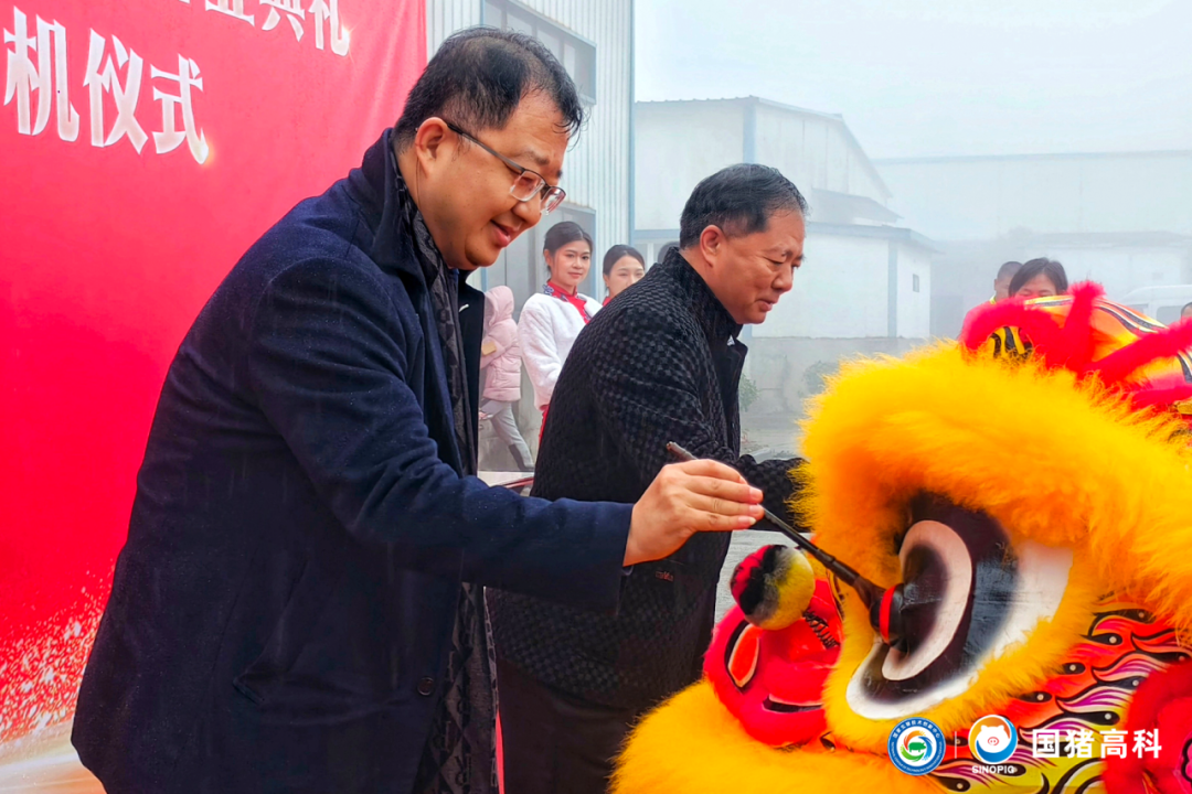 国猪润泽盛大开业