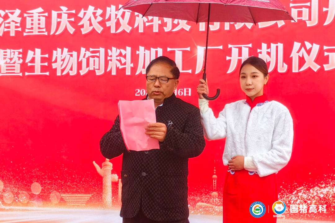 国猪润泽盛大开业
