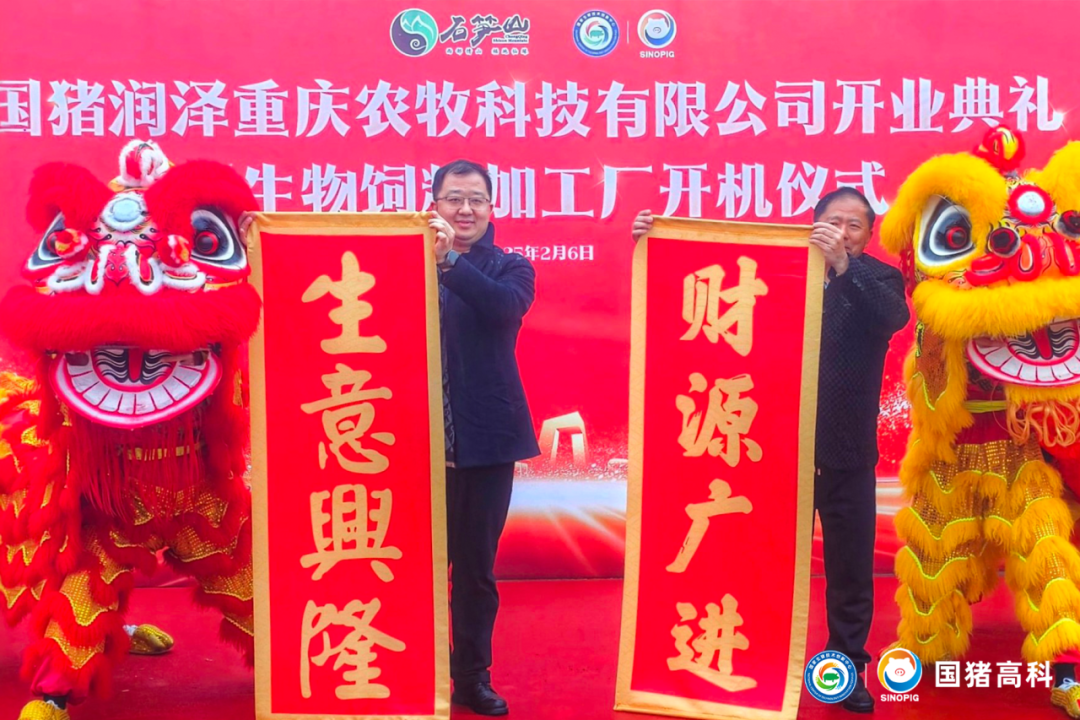 国猪润泽盛大开业
