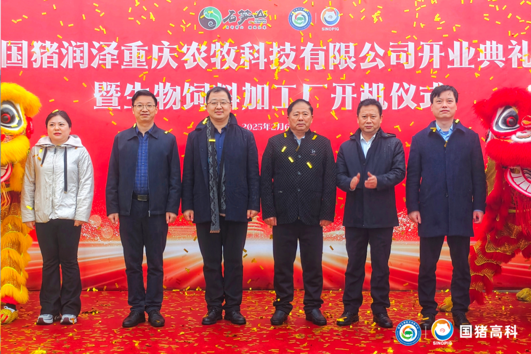国猪润泽盛大开业