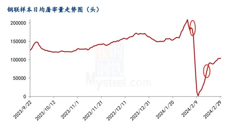 日均屠宰量变化
