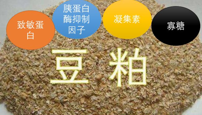 2025年02月10日全国各省市豆粕价格行情，豆粕行情纷纷上涨，将带动饲料价格上涨！