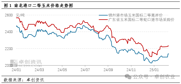 玉米行情