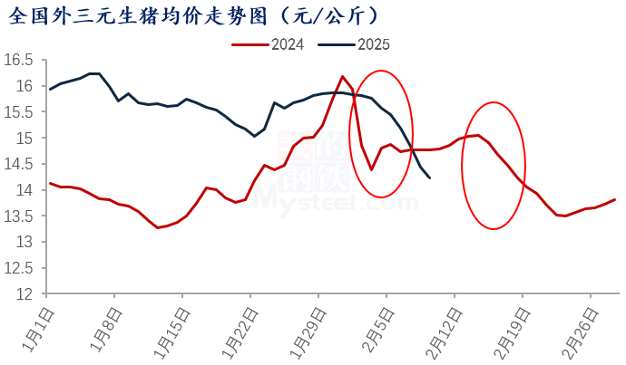 机构监测：2月规模企业日均出栏同比增加3.43%！猪价下行或更加明显？