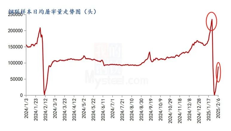 机构监测：2月规模企业日均出栏同比增加3.43%！猪价下行或更加明显？