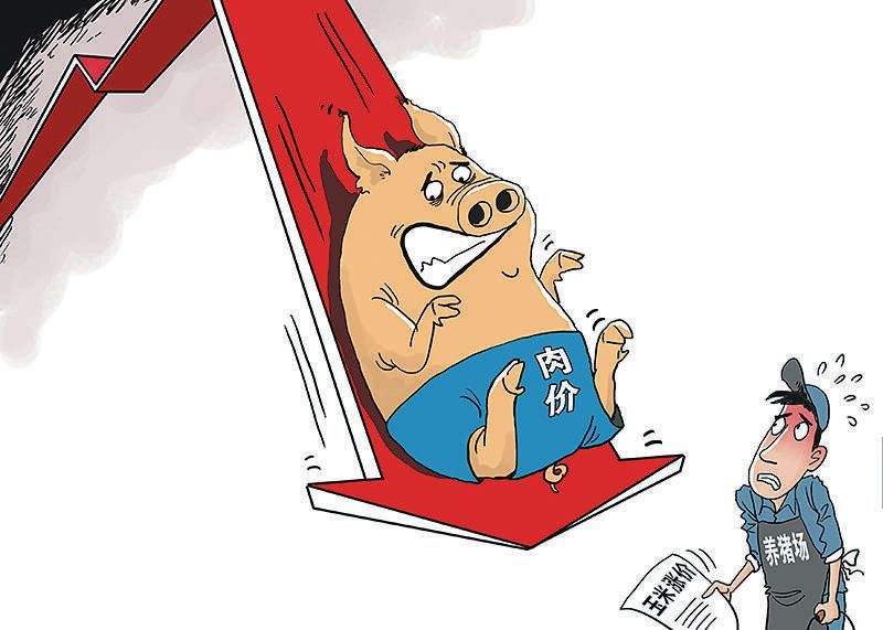  猪价下跌刹不住车，仔猪价格狂飙不止，未来仔猪还有上涨空间吗？