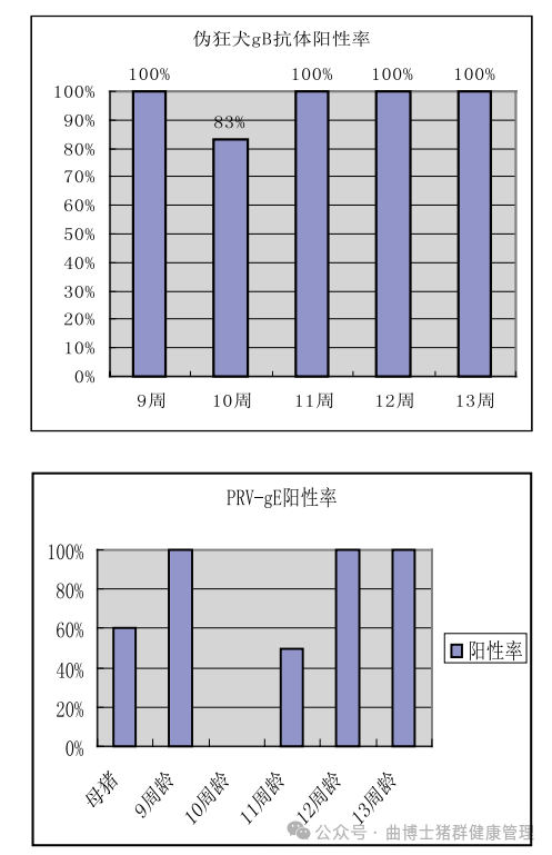 伪狂犬母源抗体消长规律