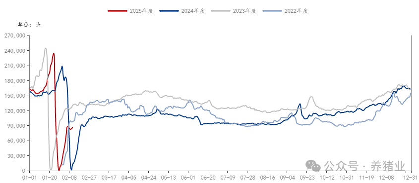 2022年-2025年钢联样本日均屠宰量走势图