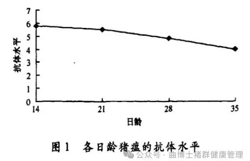 猪瘟的母源抗体消长规律