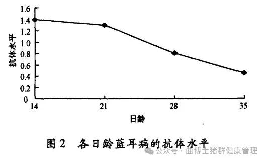 蓝耳病的抗体水平