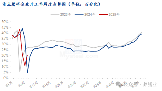 供需博弈，猪价承压下跌！后市预测来了