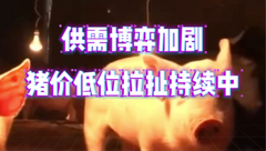 2月18日生猪价格：供需关系逐渐紧张，猪价持续低位拉锯！