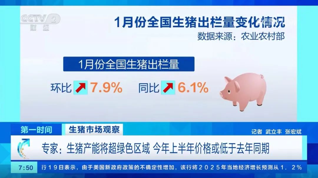 生猪出栏量