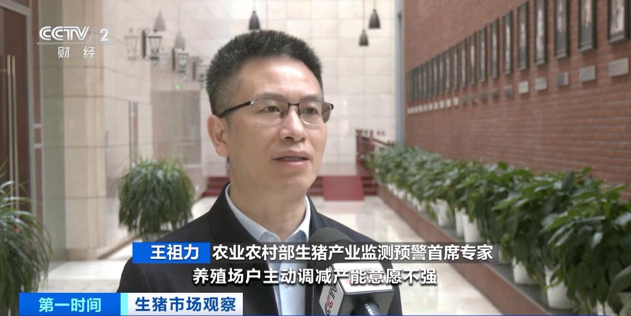 王祖力