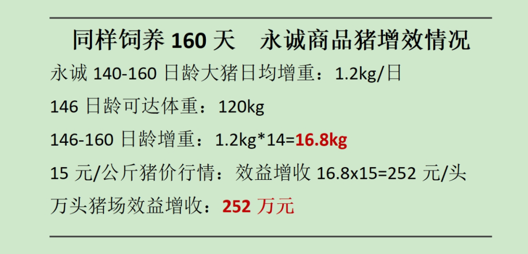 同样饲养160天，永诚商品猪增效情况