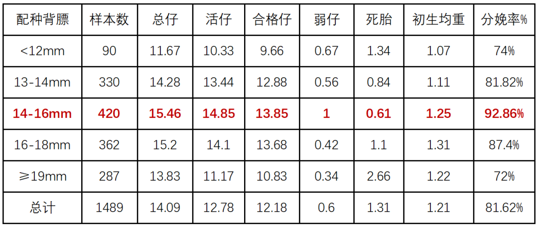 精准调控母猪背膘：解锁生产效率的倍增密码