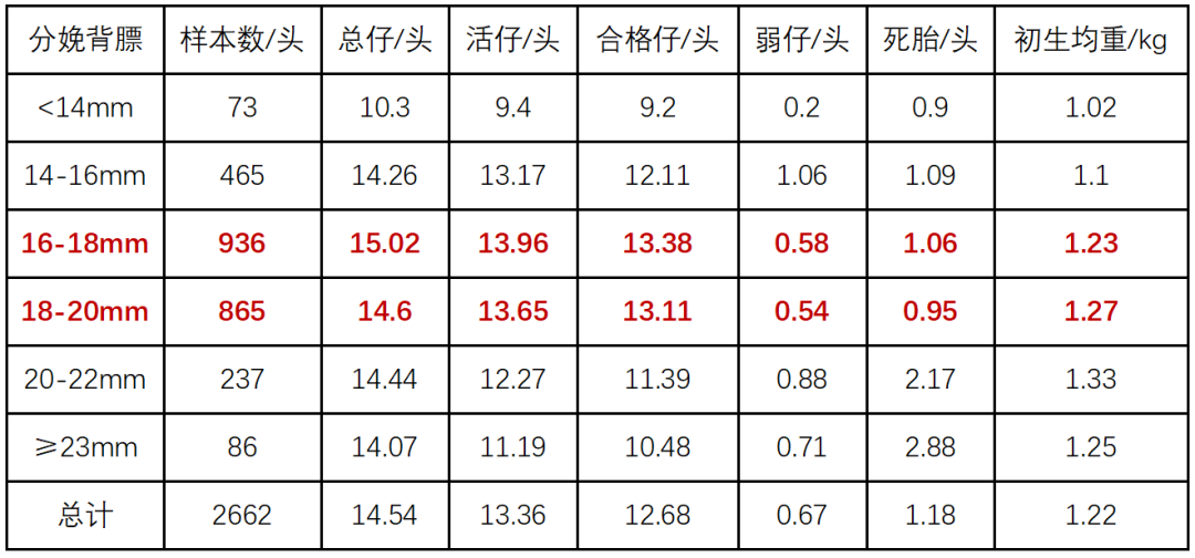 精准调控母猪背膘：解锁生产效率的倍增密码