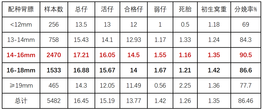 精准调控母猪背膘：解锁生产效率的倍增密码