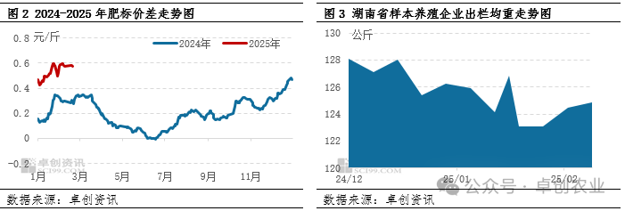 猪价与全国价差收窄！2月下旬湖南生猪价格下探力度？有限