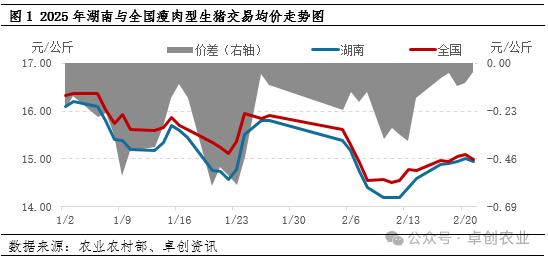 猪价与全国价差收窄！2月下旬湖南生猪价格下探力度？有限