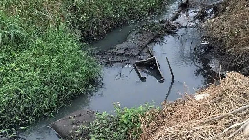 养殖污水